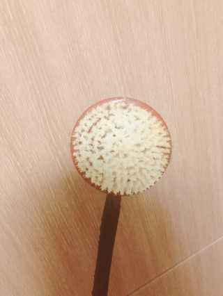 이예지님이 올린 리뷰 사진 1