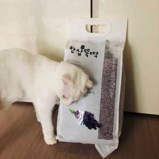 [펫토리아]한삽뚝딱 프리미엄 고양이 두부모래 — 5점을 준 리뷰어가 2019년 8월 올린 사용 사진