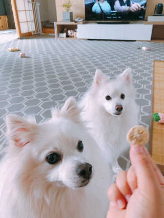 제인님이 올린 리뷰 사진 2