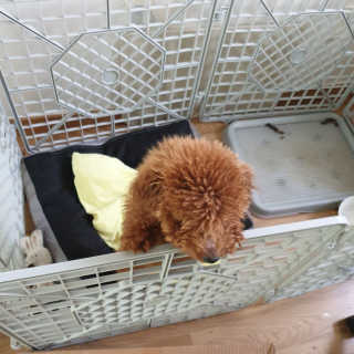 은구슬님이 올린 리뷰 사진 2