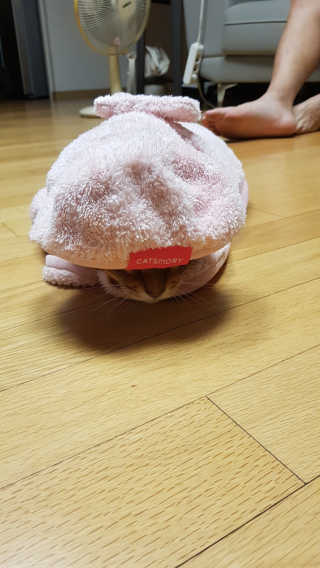 반짝님이 올린 리뷰 사진 3