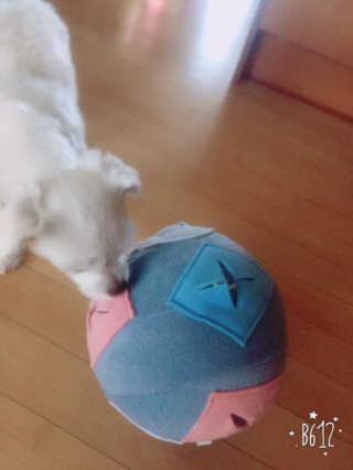 김경옥님이 올린 리뷰 사진 3