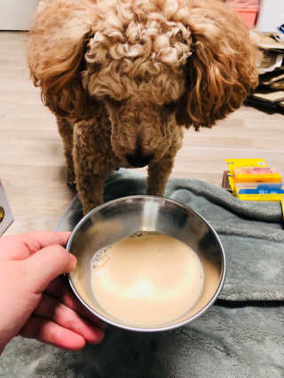 채리짱님이 올린 리뷰 사진 2