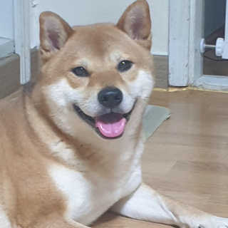 봄봄님이 올린 리뷰 사진 3