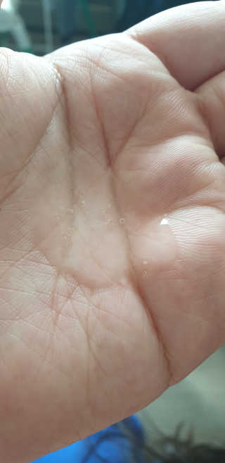 빽경님이 올린 리뷰 사진 4
