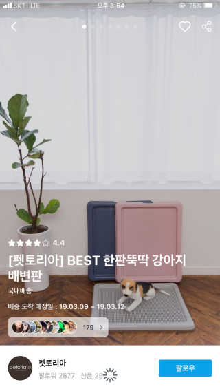 최수진님이 올린 리뷰 사진 1