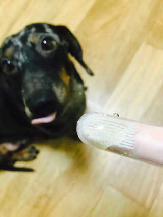 이은혜님이 올린 리뷰 사진 3