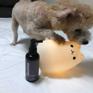 모모님이 올린 리뷰 사진 3