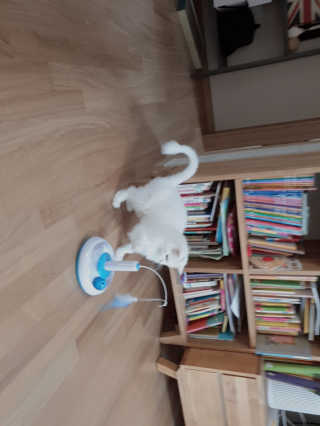 양이별님이 올린 리뷰 사진 1