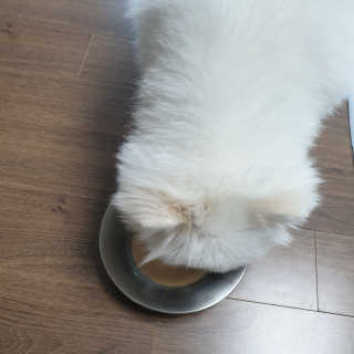 rtzd님이 올린 리뷰 사진 2
