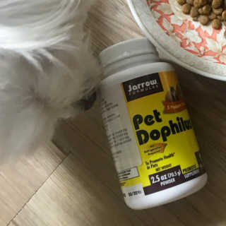 재로우 제로우 펫 도필러스 반려동물 유산균 영양제 70.5g — 2.5점을 준 리뷰어가 2018년 7월 올린 사용 사진