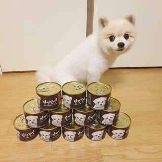 [펫토리아] 한캔뚝딱 강아지 주식캔 12종 콤보 — 4점을 준 리뷰어가 2019년 8월 올린 사용 사진