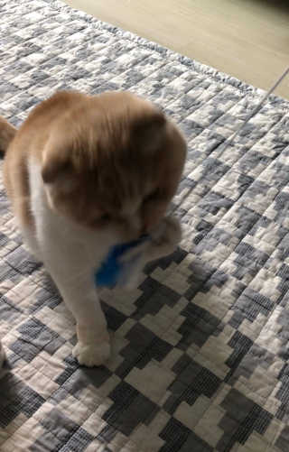 띠띠님이 올린 리뷰 사진 3