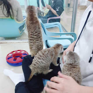 우맨님이 올린 리뷰 사진 2