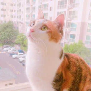 브릴랑님이 올린 리뷰 사진 4
