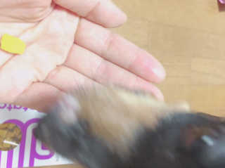 jaehwa님이 올린 리뷰 사진 4