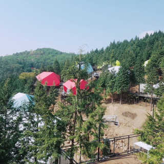 뚜시님이 올린 리뷰 사진 4