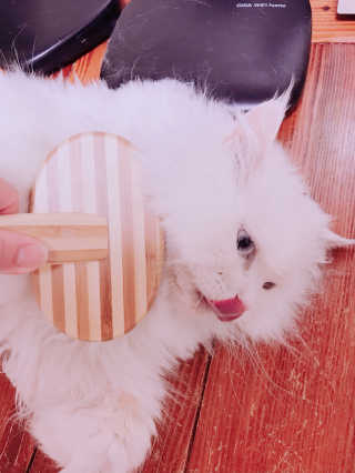 김화안님이 올린 리뷰 사진 2