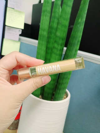 더블유드레스룸 롤 온 퍼퓸EDT 10ml — 5점을 준 리뷰어가 2018년 7월 올린 사용 사진