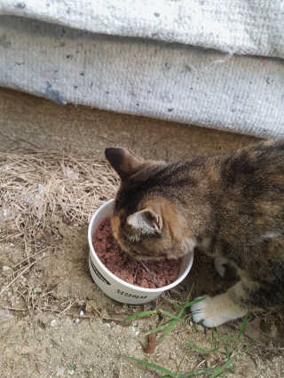 핸쑤님이 올린 리뷰 사진 3