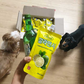 이송희님이 올린 리뷰 사진 1