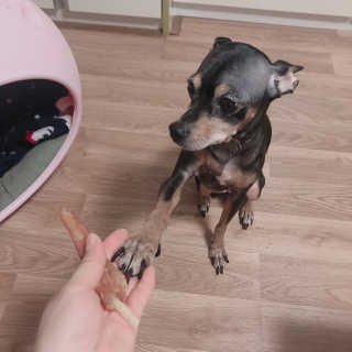 Jvely님이 올린 리뷰 사진 1