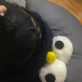 인또니짱님이 올린 리뷰 사진 1