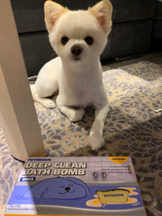 Pethroom 페스룸 PETHROOM DEEP CLEAN BATHBOMB 페스룸 딥클린 배쓰밤 — 4점을 준 리뷰어가 2020년 3월 올린 사용 사진