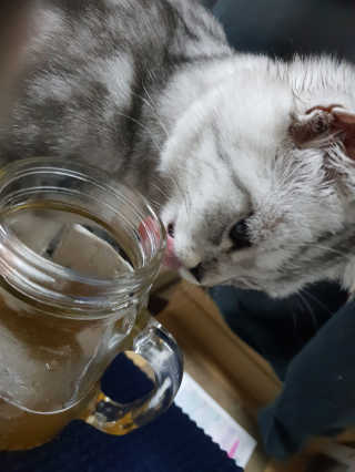이째님이 올린 리뷰 사진 4