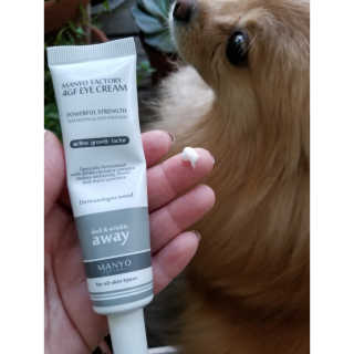 Peepingpomeranian님이 올린 리뷰 사진 2
