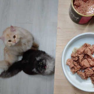 Lim님이 올린 리뷰 사진 1