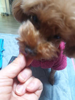 지여니님이 올린 리뷰 사진 3