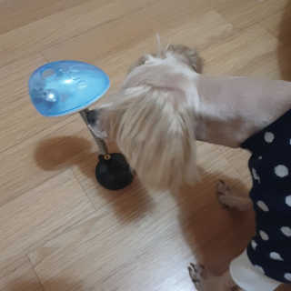 미루맘마님이 올린 리뷰 사진 3