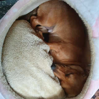 KyungmunJung님이 올린 리뷰 사진 3