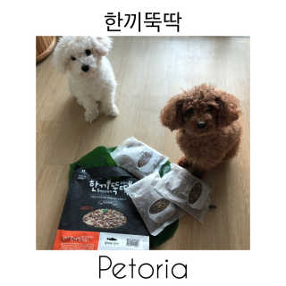[펫토리아] 맛도 영양도 BEST 한끼뚝딱 강아지 사료 — 4.5점을 준 리뷰어가 2018년 12월 올린 사용 사진