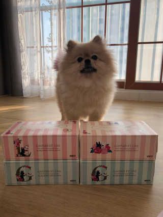 berryjjung님이 올린 리뷰 사진 1