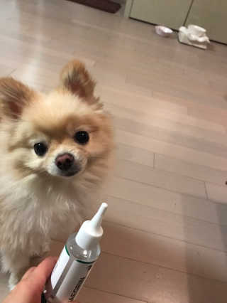 박혜림님이 올린 리뷰 사진 4