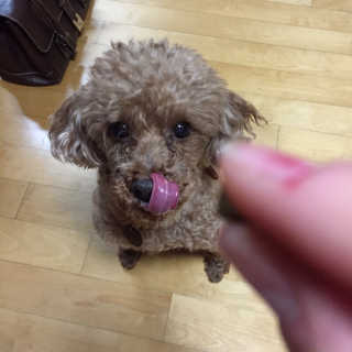 ReginaKwak님이 올린 리뷰 사진 1