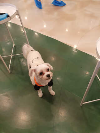 스누피1212님이 올린 리뷰 사진 2