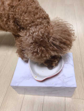 [어글어글] 반려견 친환경 간식 9종 세트 — 5점을 준 리뷰어가 2019년 11월 올린 사용 사진