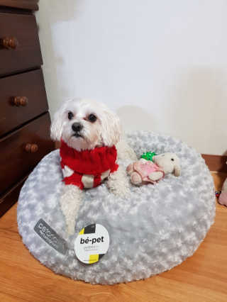 세훈찡님이 올린 리뷰 사진 2