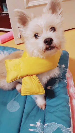 moomoon님이 올린 리뷰 사진 1