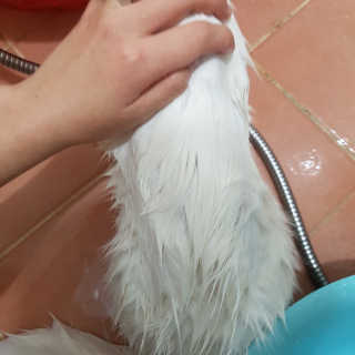 반씨남매마밍님이 올린 리뷰 사진 3