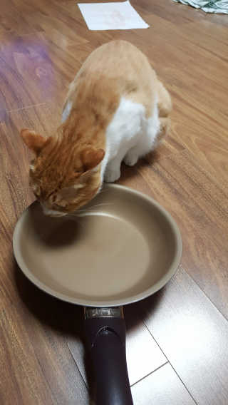 달님님이 올린 리뷰 사진 2