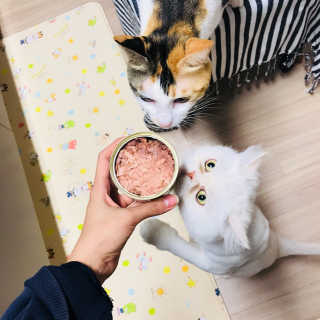 윤느님이 올린 리뷰 사진 3