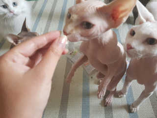 마뇨님이 올린 리뷰 사진 2