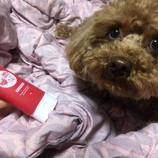은치치님이 올린 리뷰 사진 1