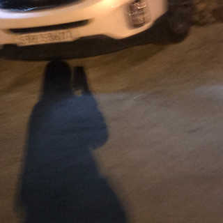 황수연님이 올린 리뷰 사진 3
