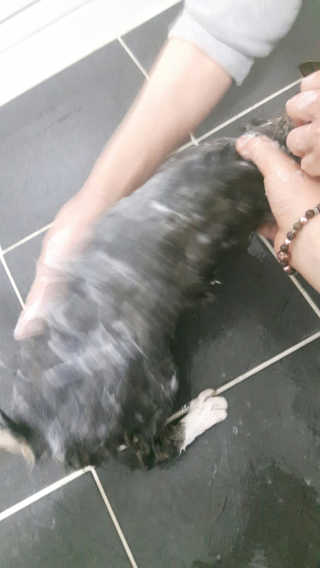 소리님이 올린 리뷰 사진 1