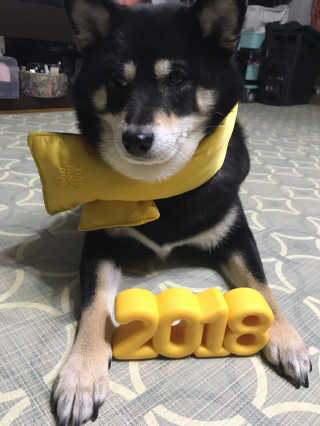 베이컨박스 — 4점을 준 리뷰어가 2018년 1월 올린 사용 사진